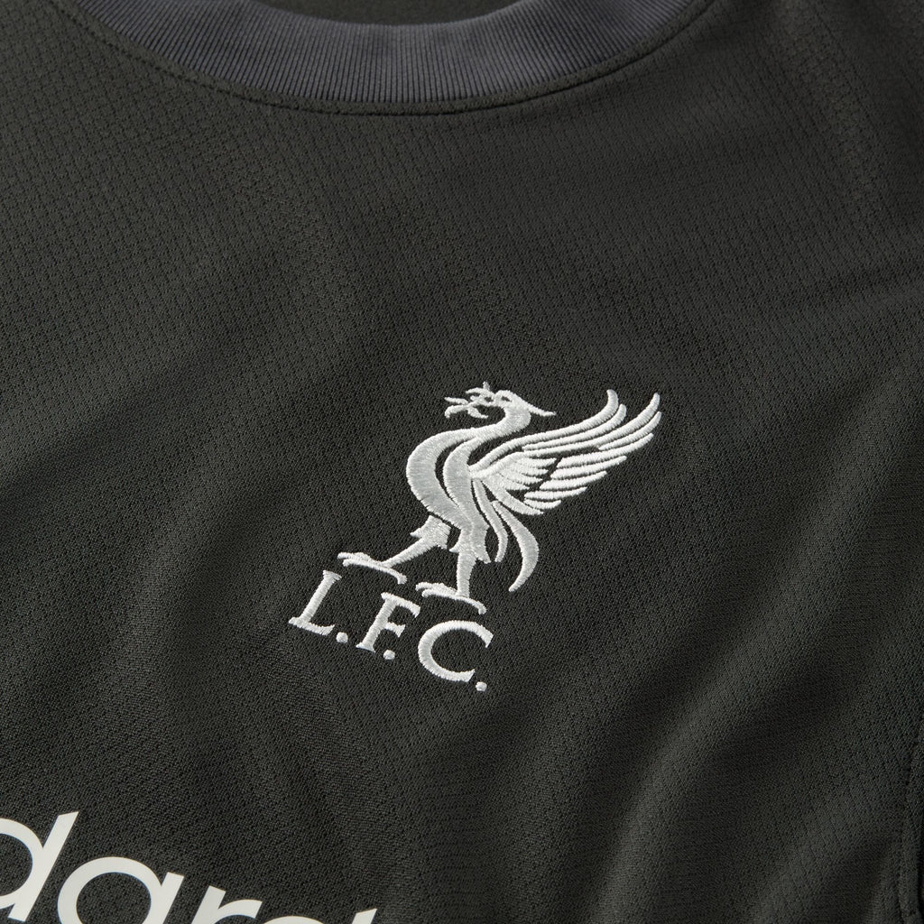 Liverpool FC 24/25 Away Jersey (FN8780-322)