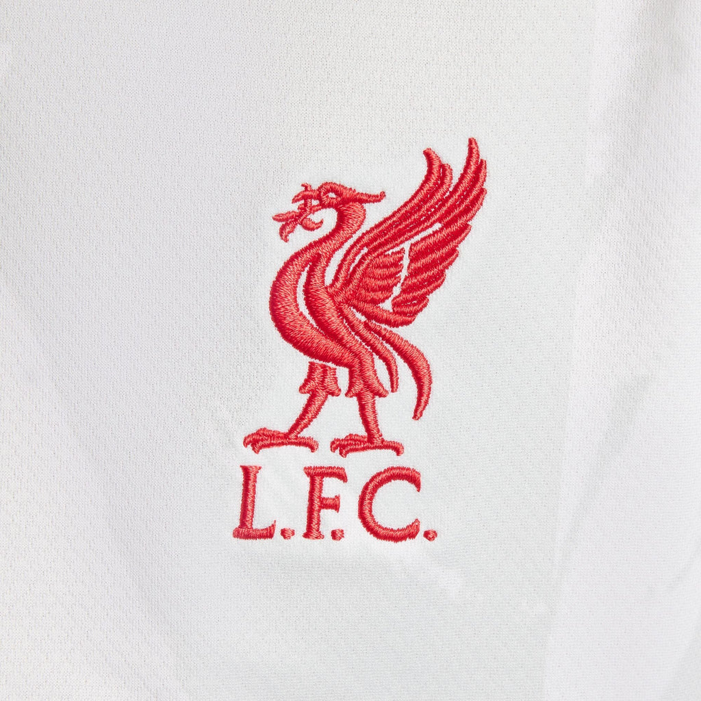 Liverpool FC 24/25 Third Youth Jersey (FQ2253-101)