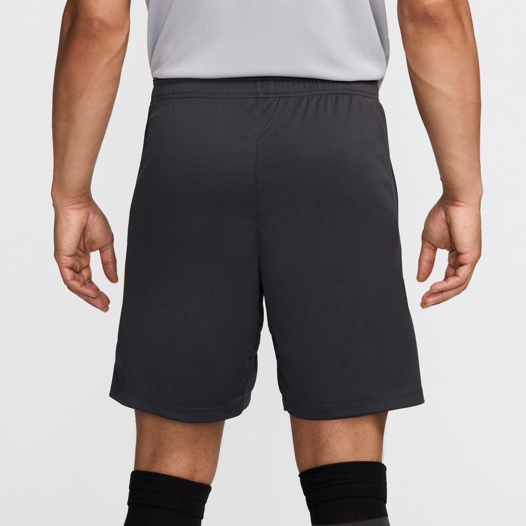 Liverpool FC Strike Third Men's Nike Dri-FIT Shorts (FQ2423-070)