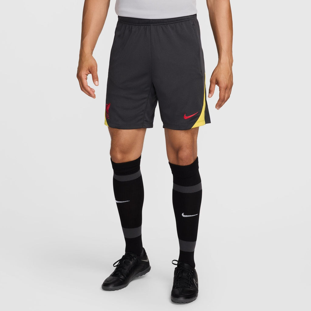 Liverpool FC Strike Third Men's Nike Dri-FIT Shorts (FQ2423-070)