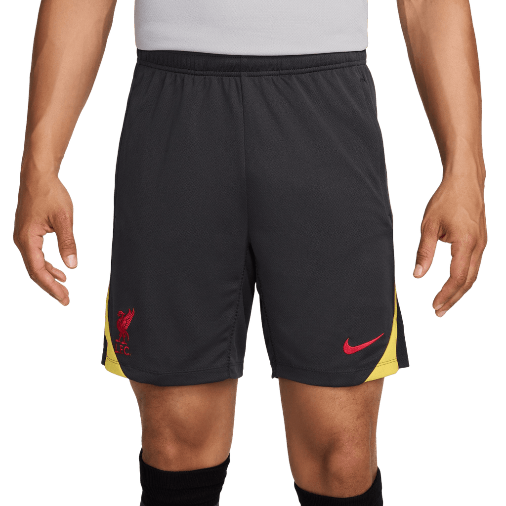 Liverpool FC Strike Third Men's Nike Dri-FIT Shorts (FQ2423-070)