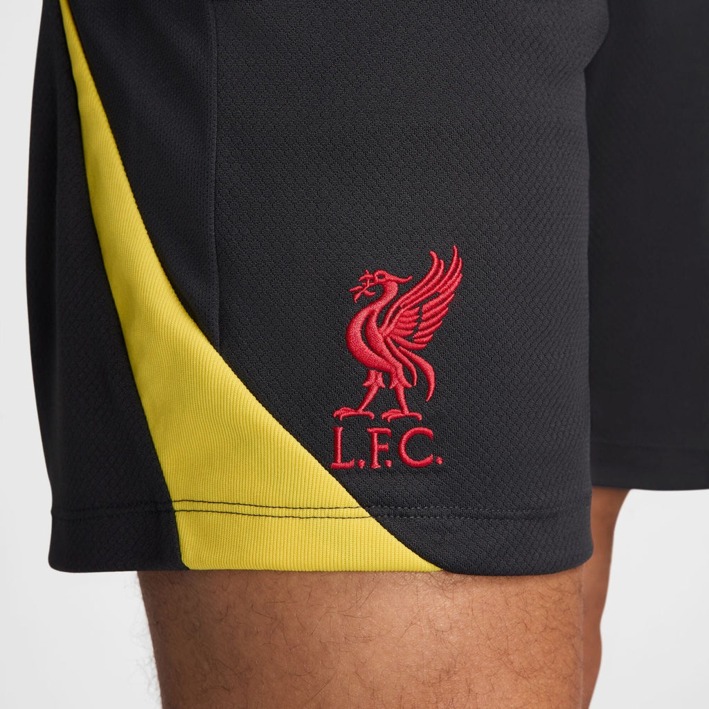 Liverpool FC Strike Third Men's Nike Dri-FIT Shorts (FQ2423-070)