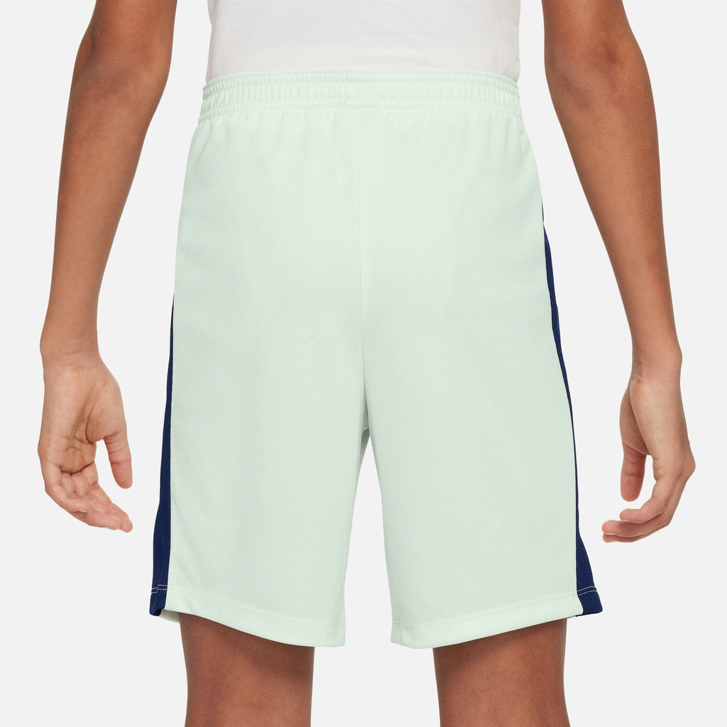 Big Kids' Dri-Fit CR7 Soccer Shorts (HF4346-394)