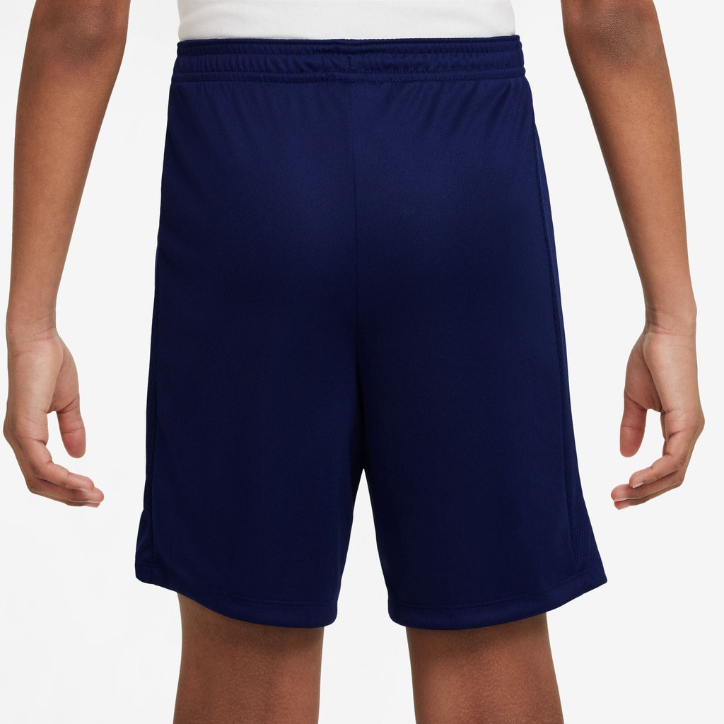 Big Kids' Dri-Fit CR7 Soccer Shorts (HF4346-492)