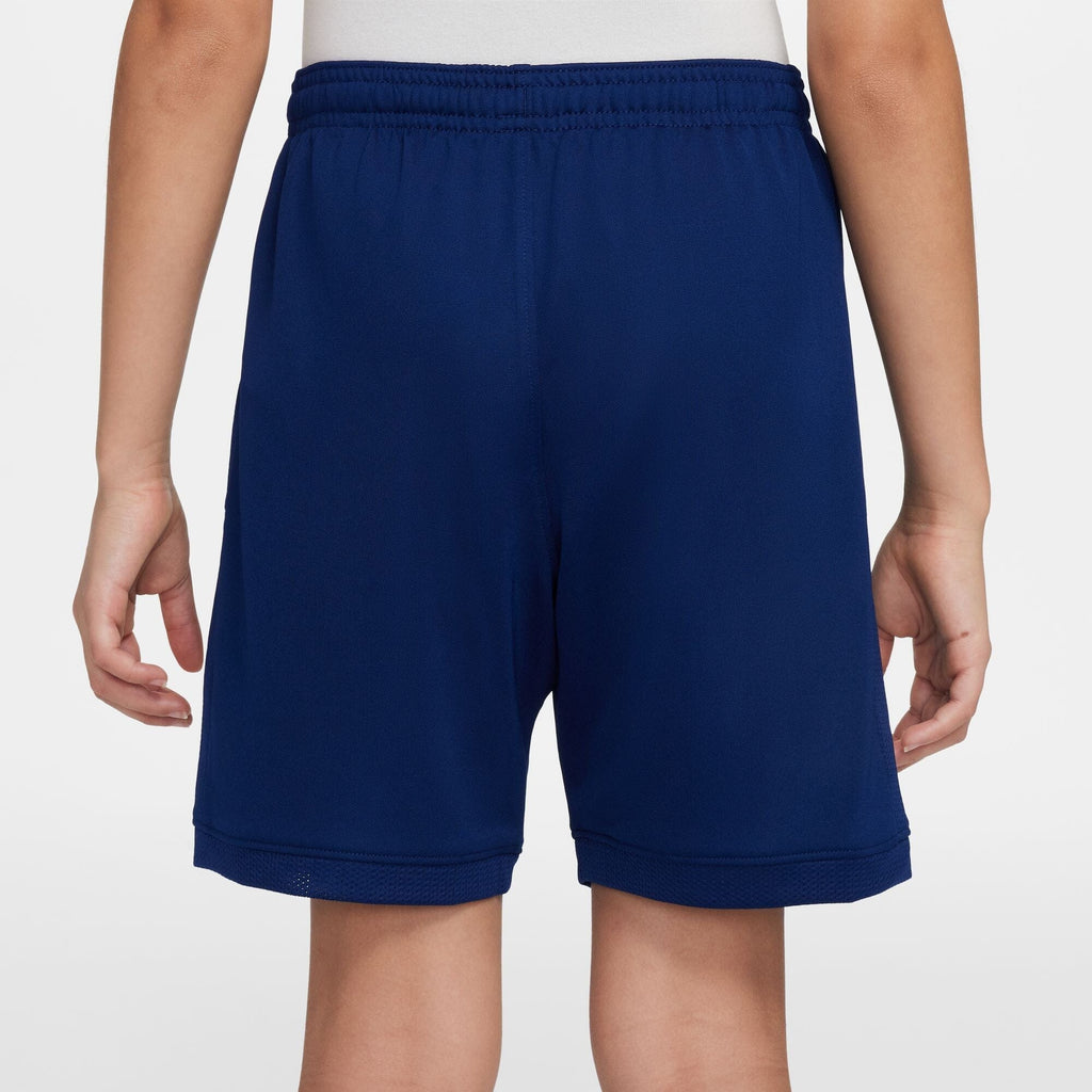 Big Kids' Dri-Fit Erling Haaland Soccer Shorts (HJ3835-492)