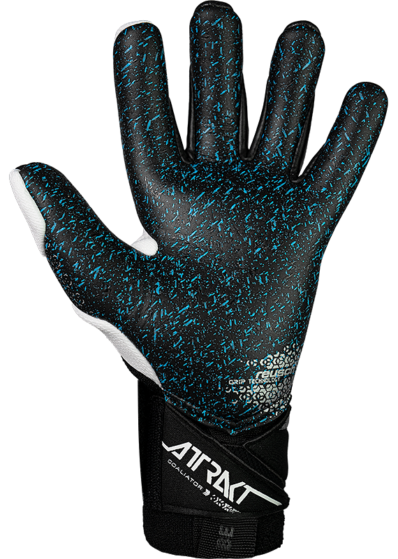 Attrakt Freegel Fusion Goaliator (55709951125)