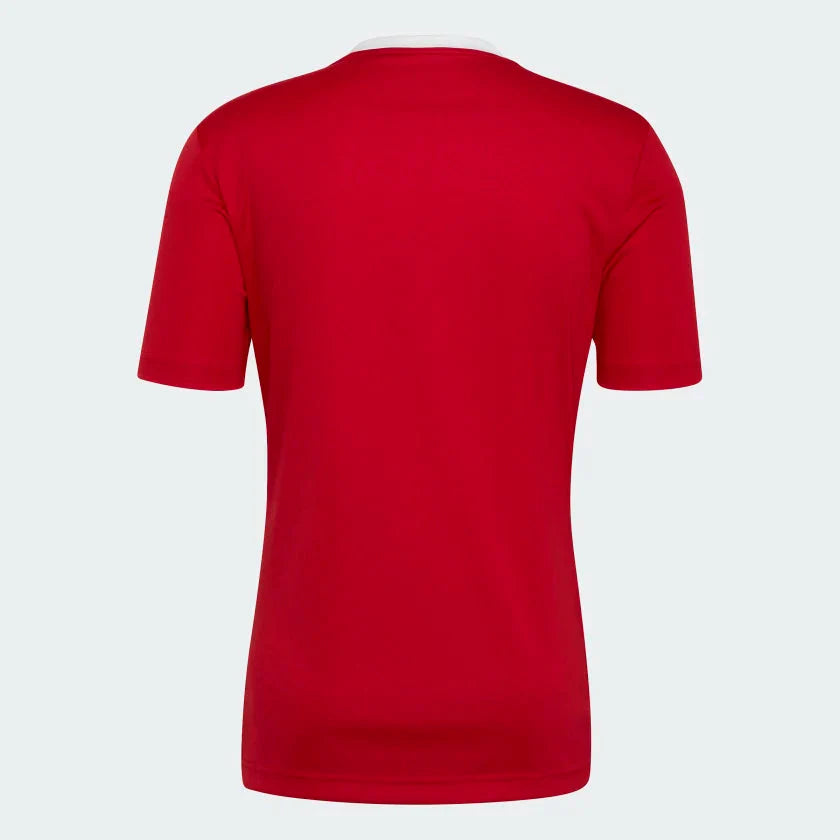 PAGEWOOD FC  Entrada 22 Jersey (H61736)