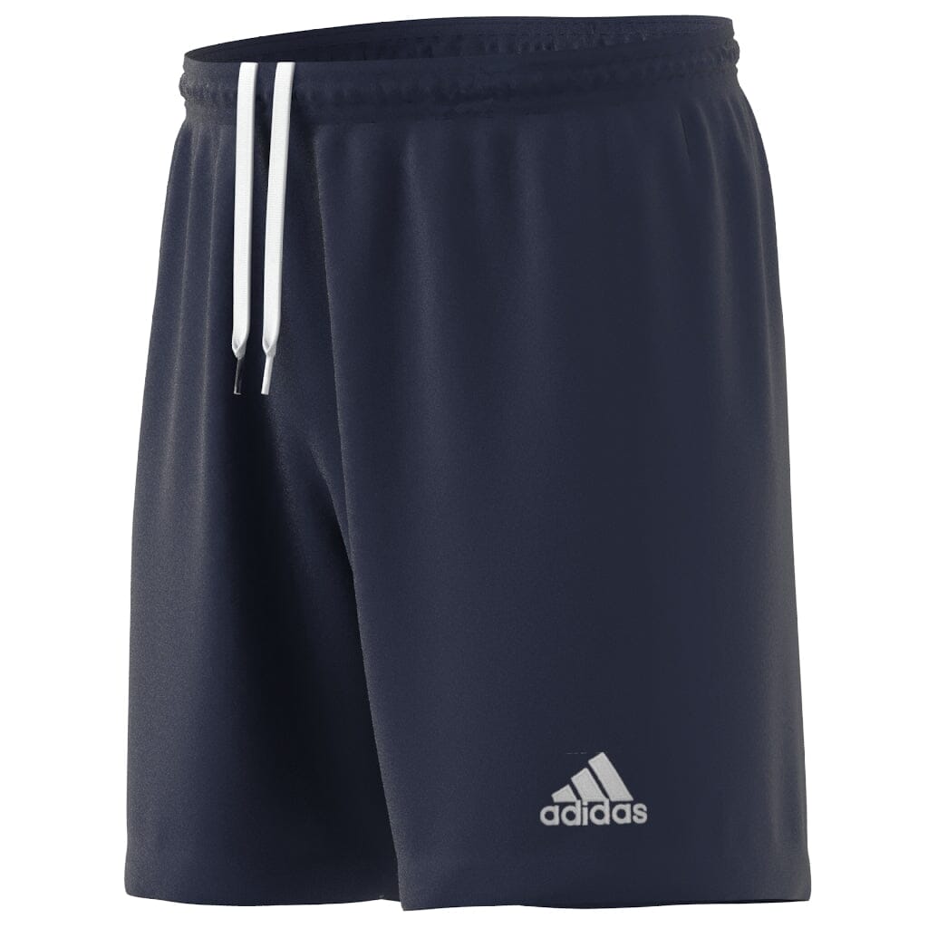 ST ALBANS DINAMO FC TRAINING Entrada 22 Shorts (H57506)