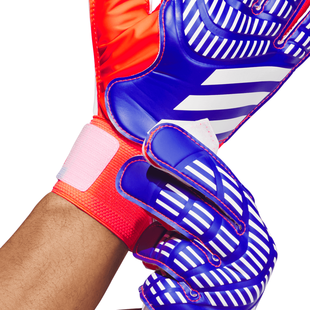 Predator Training Goalkeeper Gloves - Advancement Pack (IX3870)