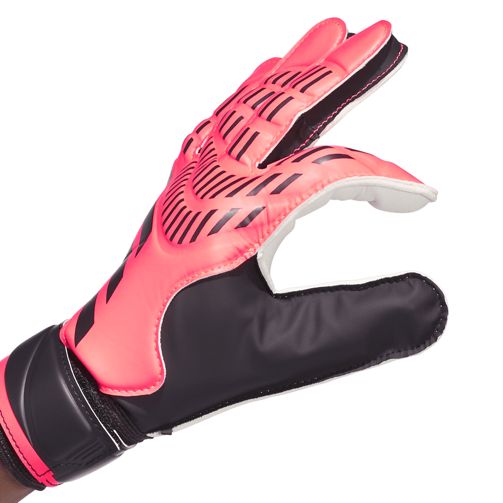 Predator Training Goalkeeper Gloves - Vivid Horizon Pack (IX3871)