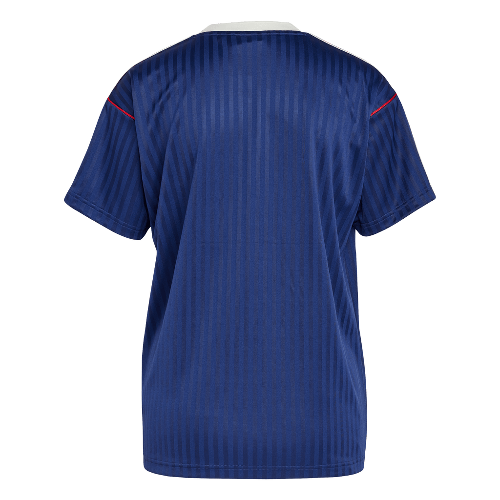 Arsenal Terrace Icons Jersey (JF0546)