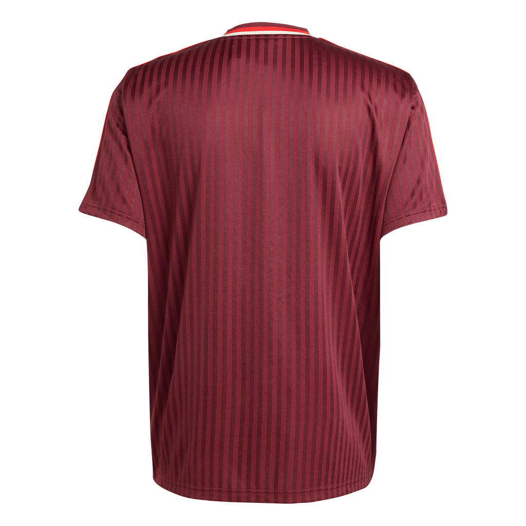 FC Bayern Terrace Icons Jersey (JF0595)