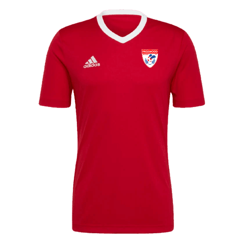 PAGEWOOD FC  Entrada 22 Jersey (H61736)