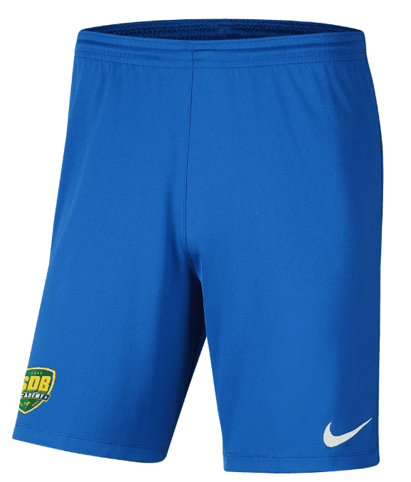 SDB WA ACADEMY  Men's Park 3 Shorts (BV6855-463)