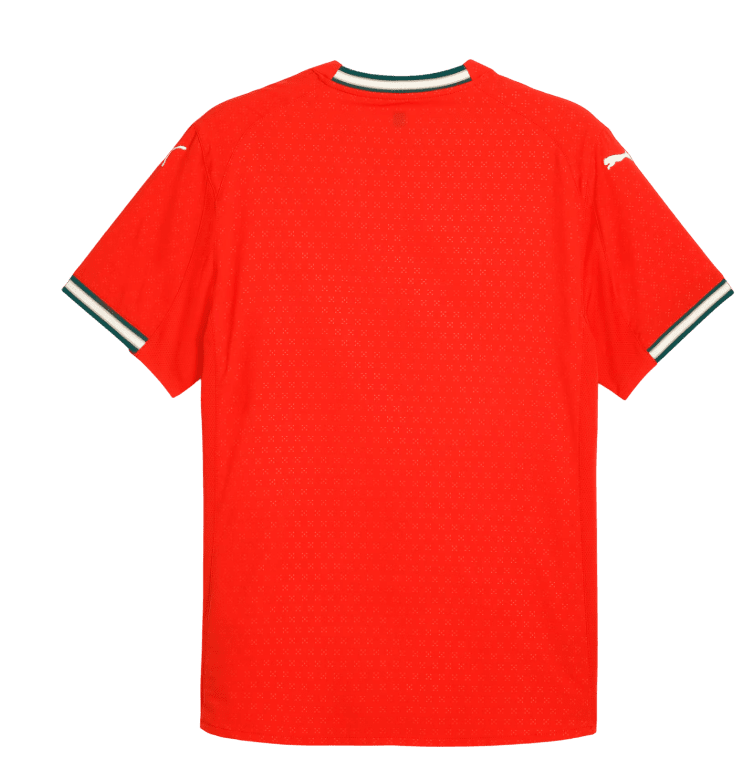 Portugal 2025 Home Jersey (77919001)