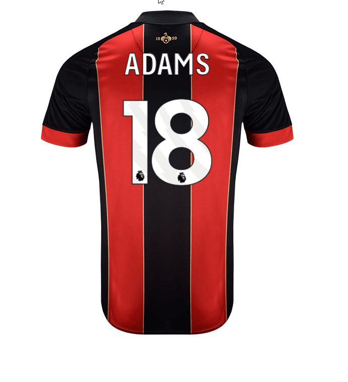 Bournemouth FC Home Jersey 24/25 - Custom Printing