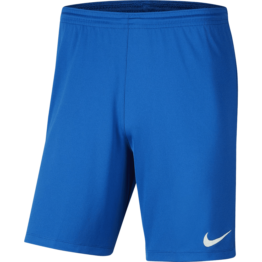 FV STATE REP SQUADS  Men's Park 3 Shorts (BV6855-463)