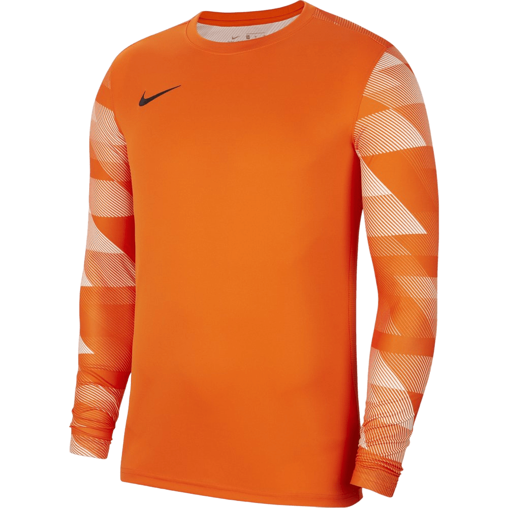 Men's Park 4 Goalkeeper Jersey (CJ6066-819)