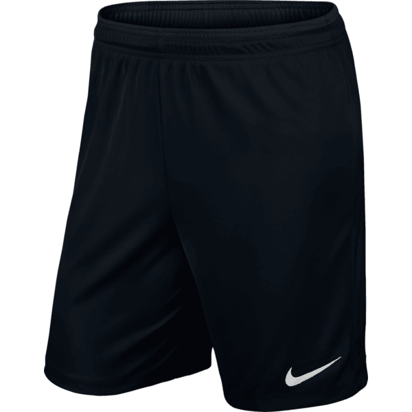 TEST FC 25  Men's Park 2 Shorts (725887-010)