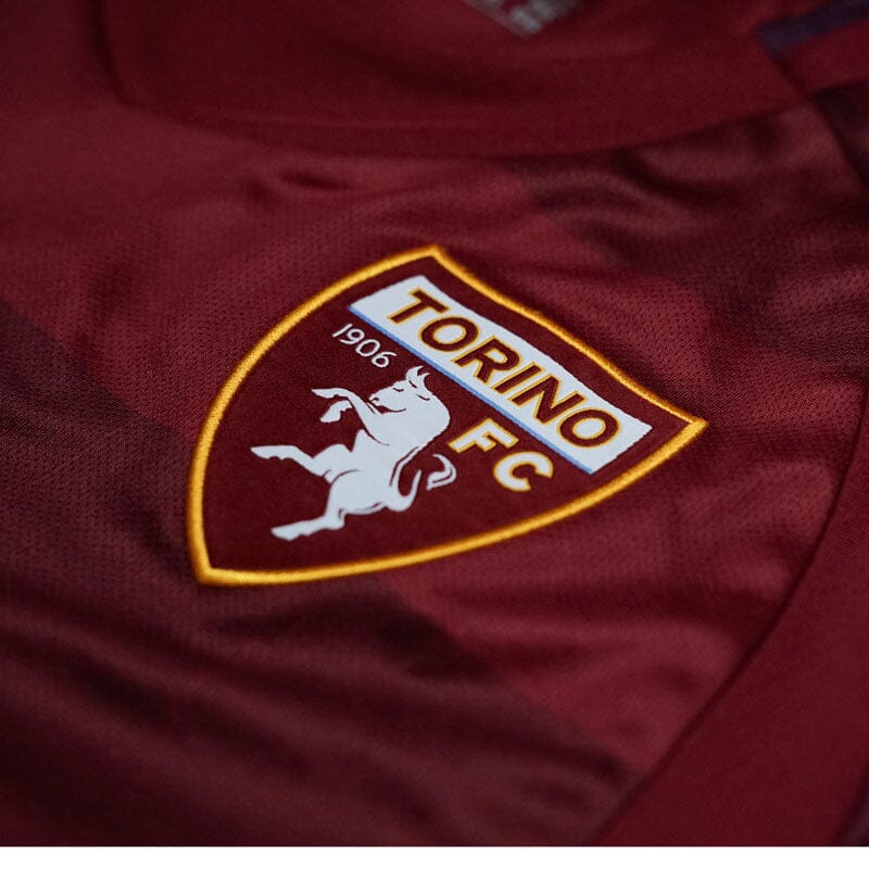 Torino 24/25 Home Jersey (A110601B5101)