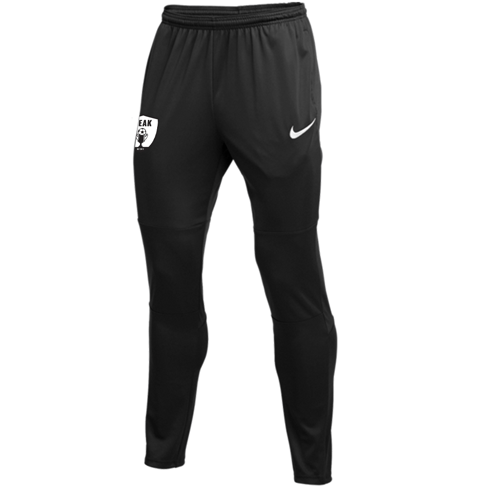 PEAK FOOTBALL ACADEMY Youth Nike Dri-FIT Park 20 Track Pants