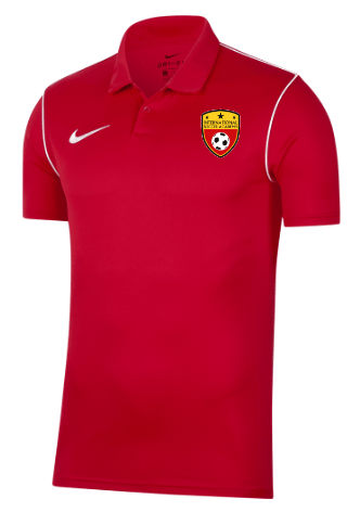 INTERNATIONAL SOCCER ACADEMY Men's Nike-Dri-FIT Park 20 Polo