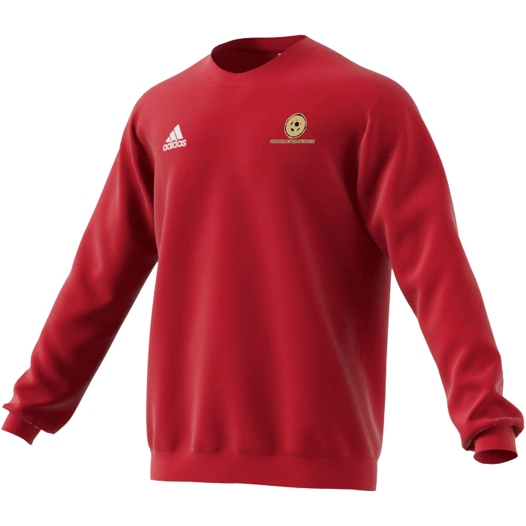 PREMIER ACADEMY Men's Entrada 22 Crew Top